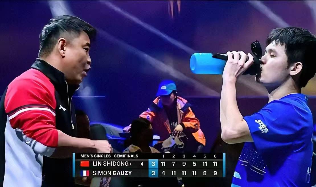 瑞典乒乓球队翻盘法国乒乓球队，王皓打破历史纪录的简单介绍