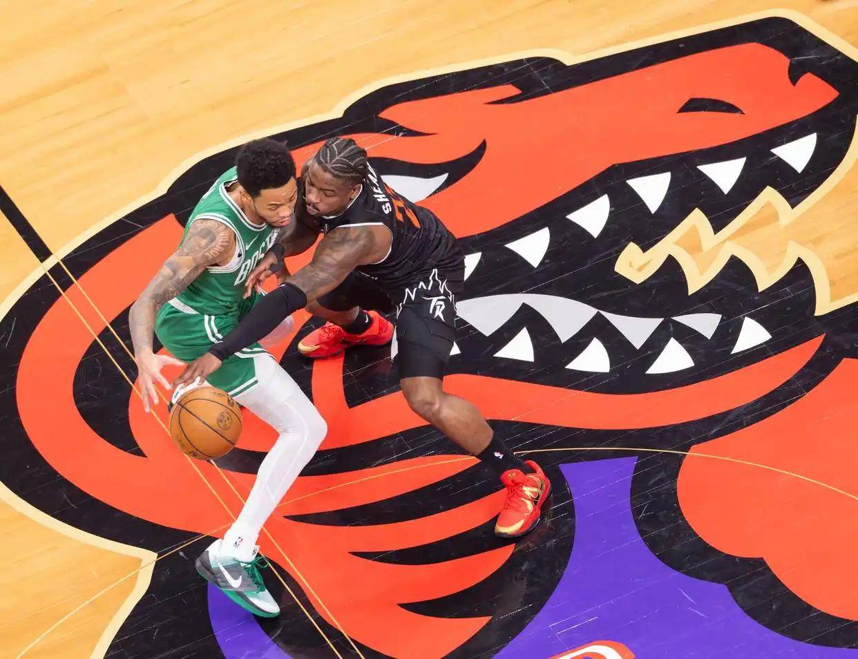 凯尔特人轻取猛龙，武切维奇带队取胜