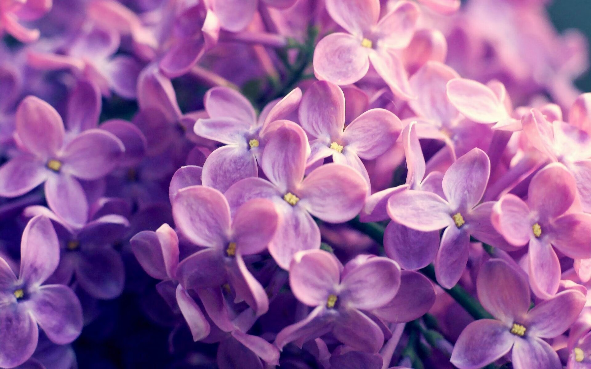 熔炉，当乒乓对垒绿茵