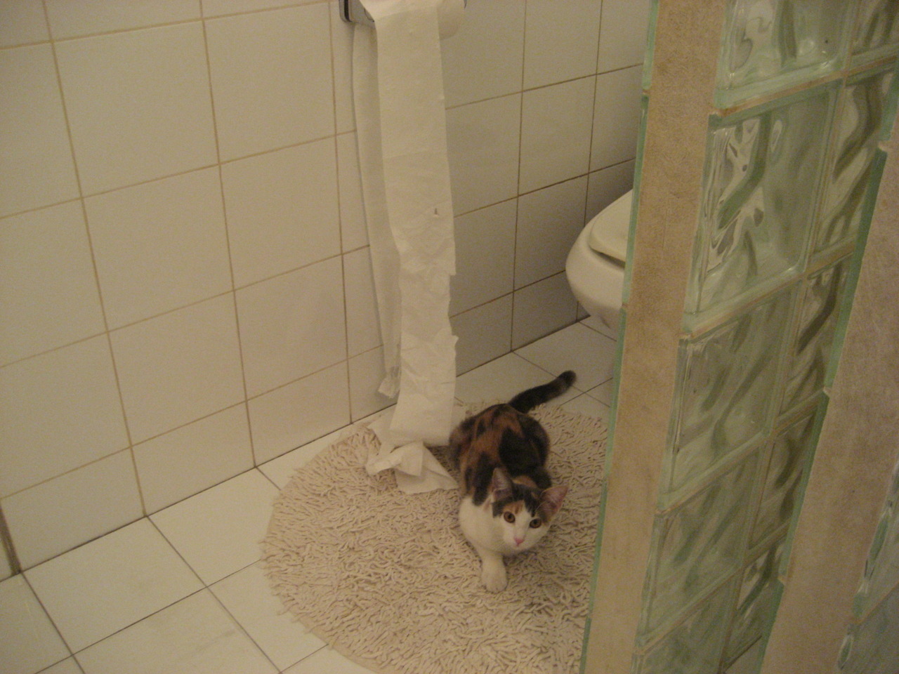 唯一定律，当世界关上所有门，总有人选择踹开一堵墙