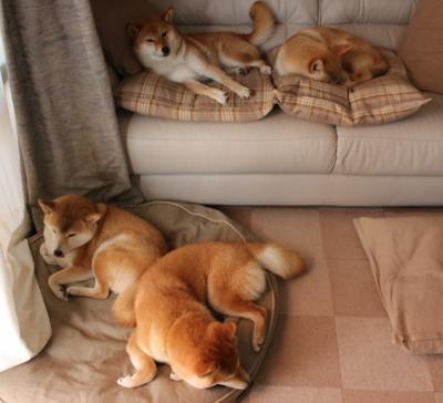 莫兰特打出统治级数据，凯尔特人击败勇士，NBA 格局的一道全新裂痕