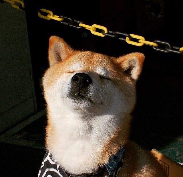 三角星火，共耀欧冠长夜