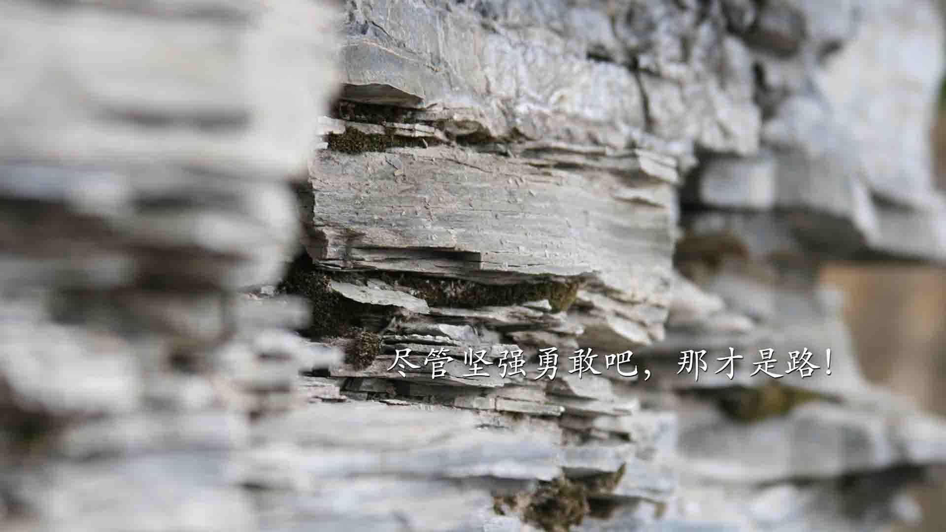 一剑封喉！罗马压哨绝杀毕尔巴鄂，贝林厄姆掌控攻防的艺术