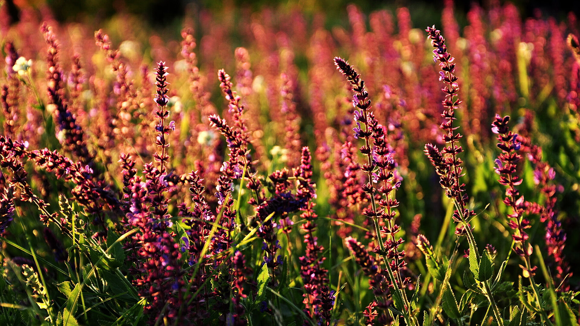 瞬息定义永恒，梅西如何将半决赛之夜炼成传奇