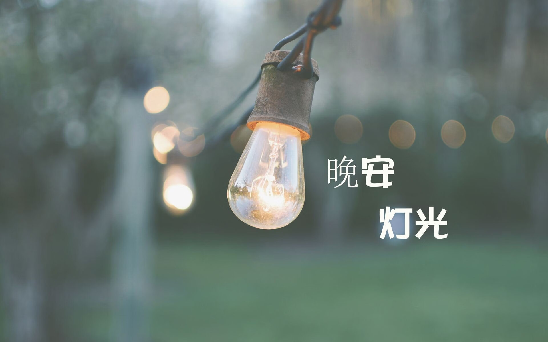奇迹之夜,2026世界杯A组强强对话,印度逆转罗马尼亚,库尔图瓦孤掌难鸣