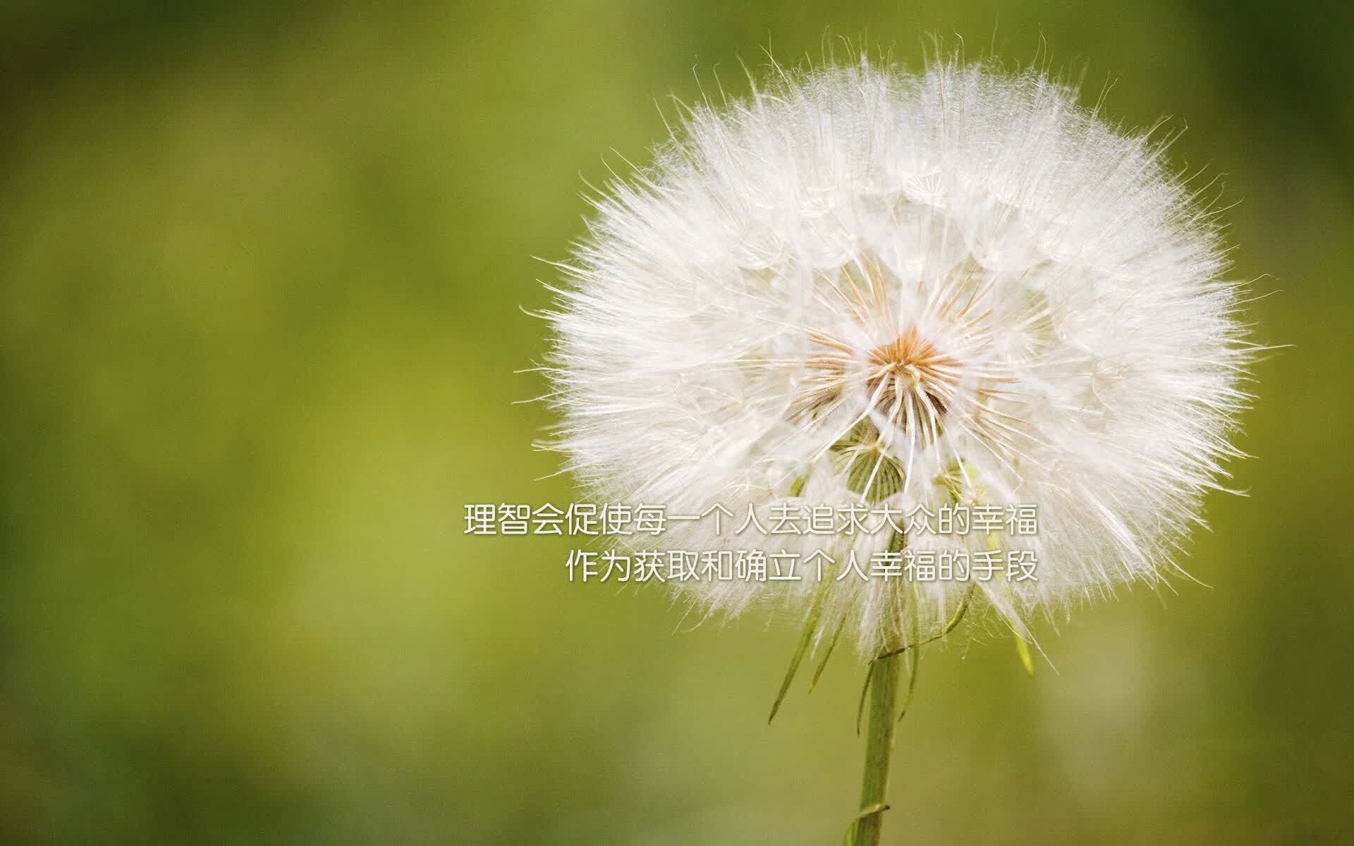 2026世界杯揭幕战，登贝莱独造三球，墨西哥铁血复仇韩国引爆北美之夜