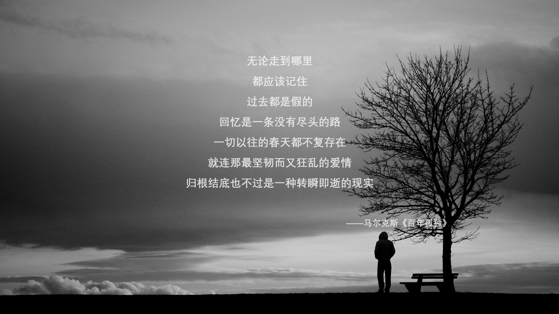 沙暴中的闪电,2026世界杯H组,阿方索·戴维斯如何用速度撕裂伊朗,为斯洛伐克写下唯一剧本