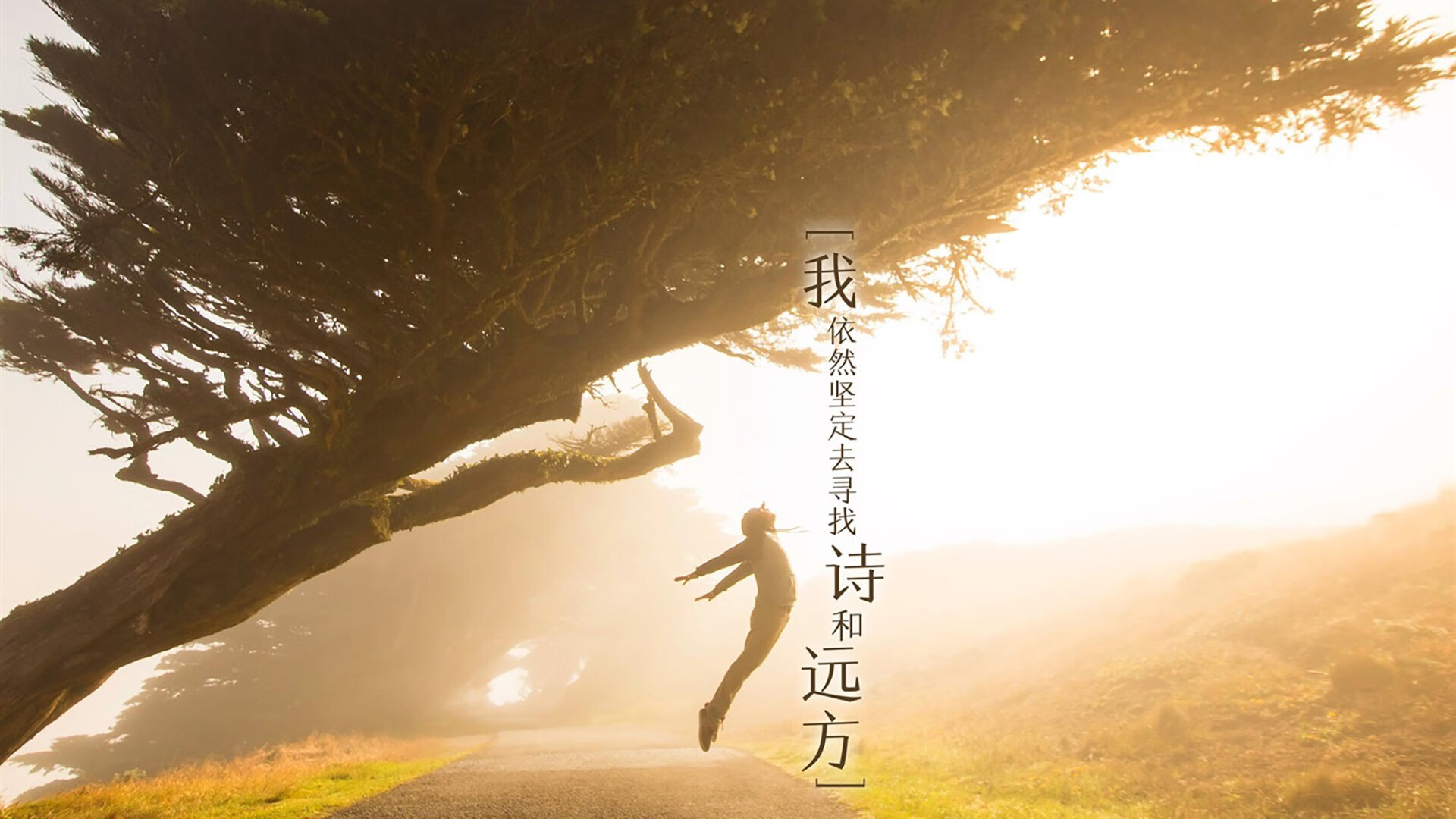 死亡之组的唯一剧本,伊朗铁骑碾碎斯洛伐克,阿方索·戴维斯在H组之巅独自闪耀