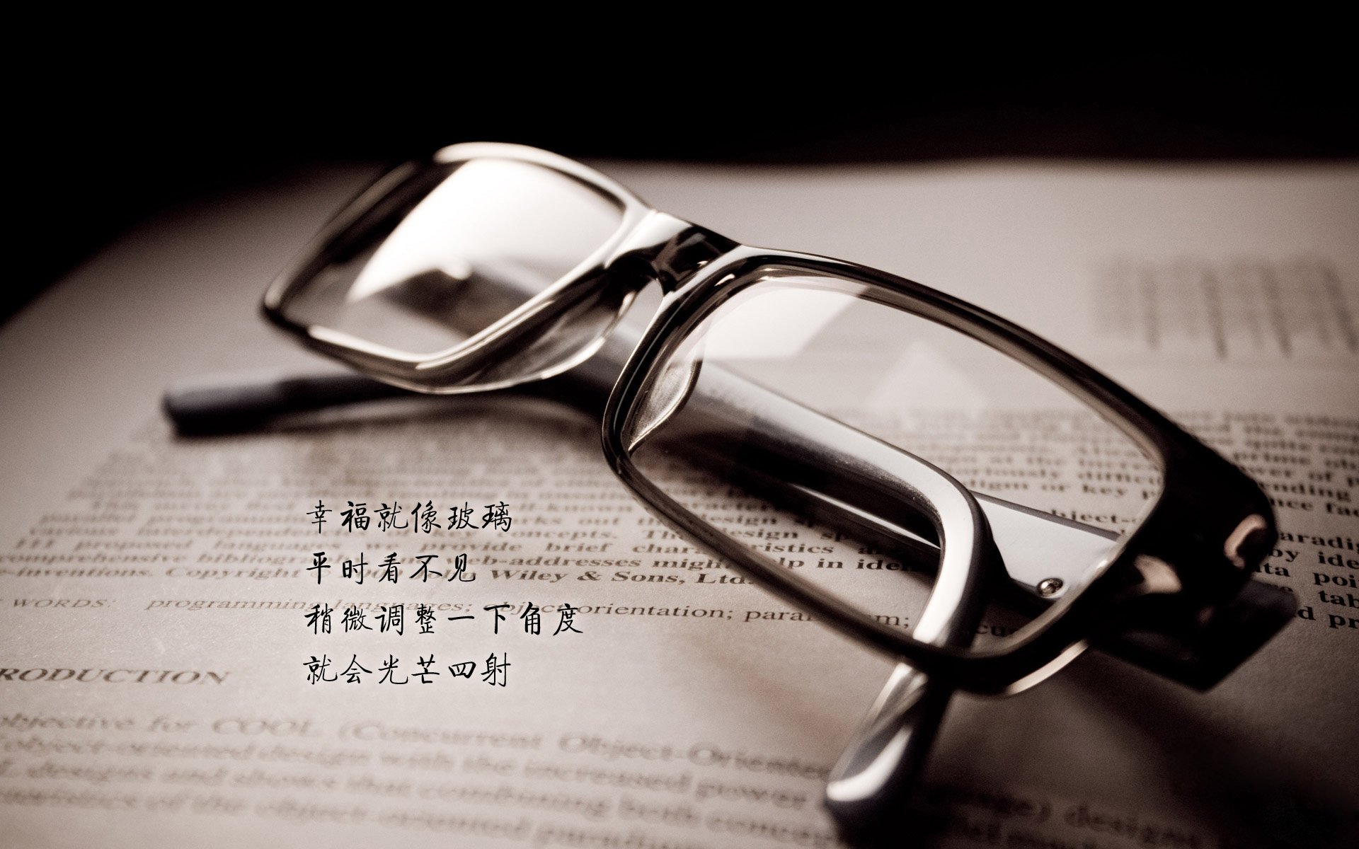 铁血的回响,2026世界杯D组关键战,费利克斯率葡萄牙险胜荷兰,一场属于意志的胜利