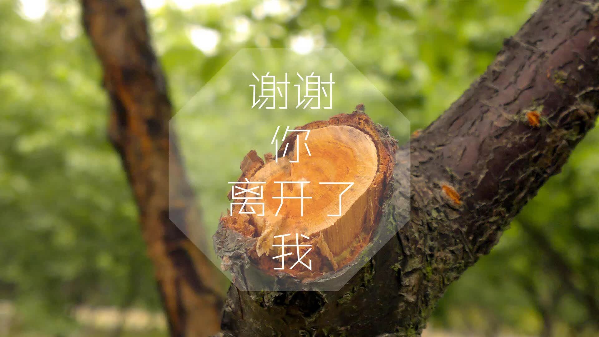 北欧风暴席卷南亚,哈兰德率挪威碾压印度,2026世界杯G组悬念一夜终结