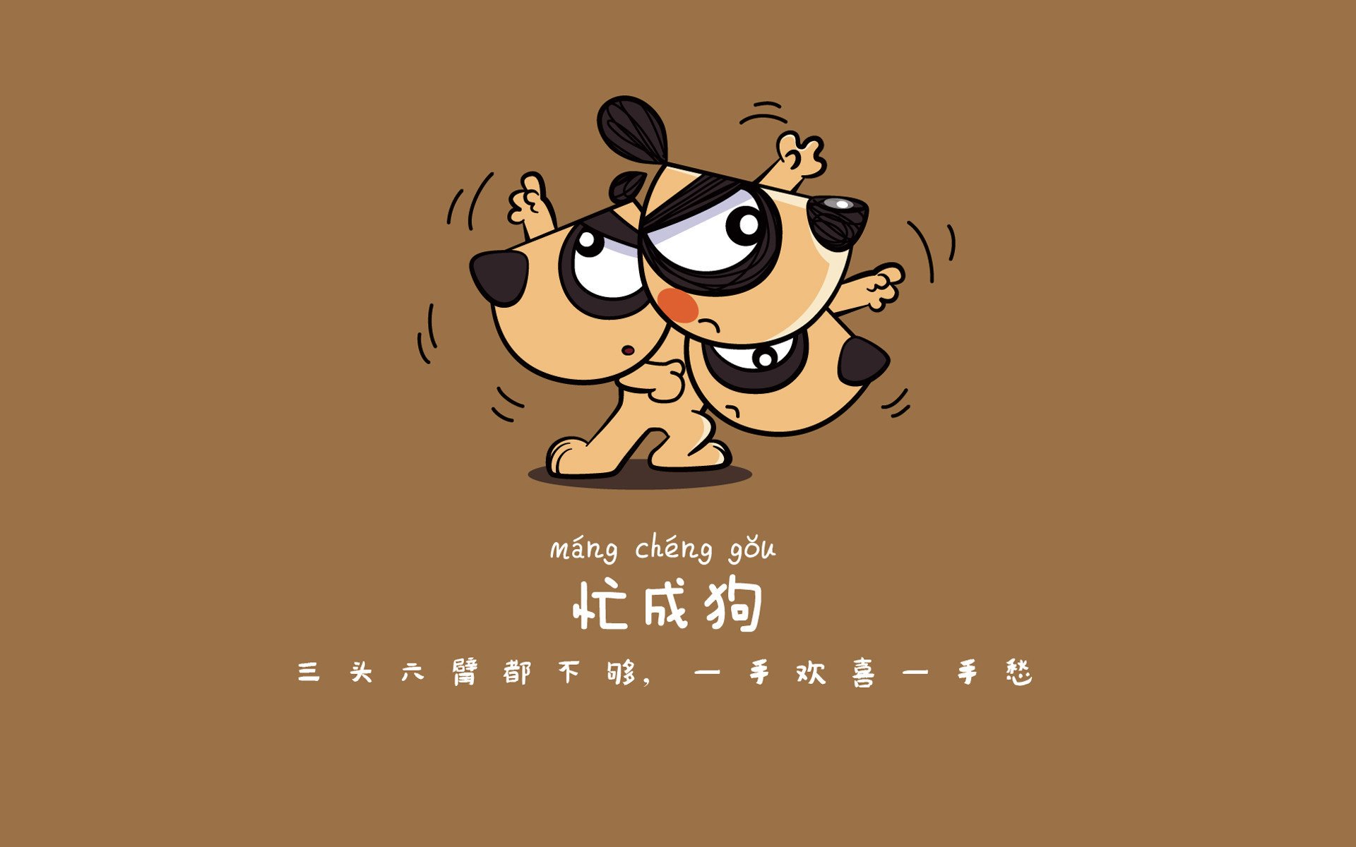 绿茵孤注，当厄瓜多尔横扫荷兰，托纳利照亮世界杯唯一性时刻